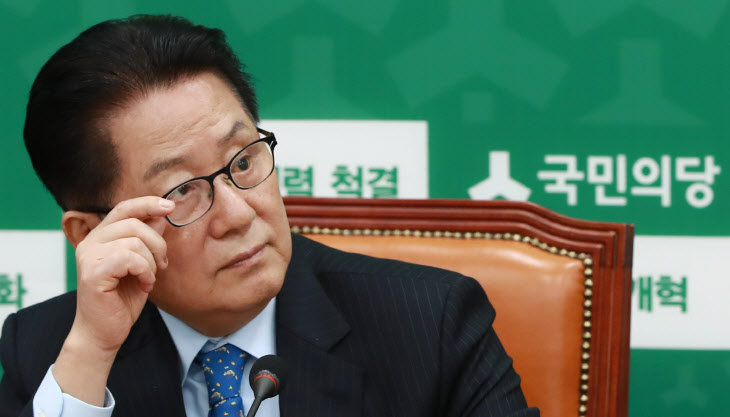 박지원 대표