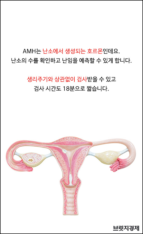 임신사전검사1