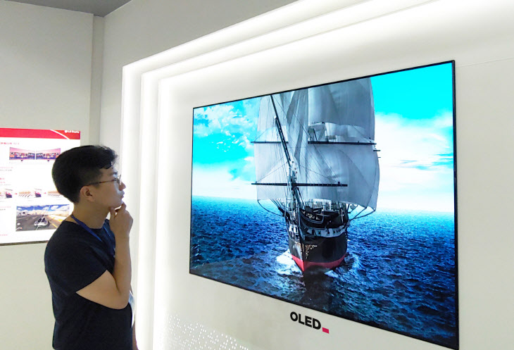 (LGD) OLED TV용 패널