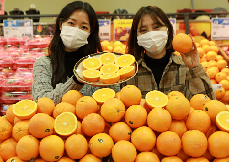 롯데마트 미국산 고당도 오렌지 판매