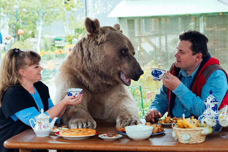 우리 가족은 `아빠·엄마 그리고 곰(bear)`?