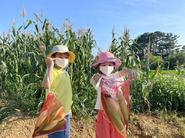 고성읍 주민자치회, ‘한여름 강냉이 축제’ 개최