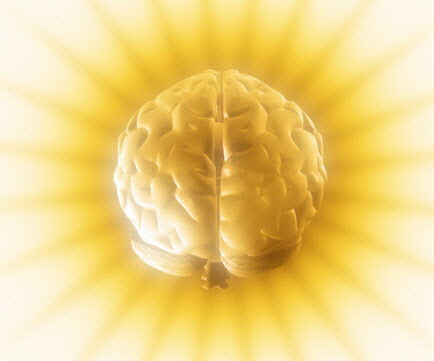 [노후대비 뇌 건강법] ‘깨끗한 뇌’ 만들기가 최우선